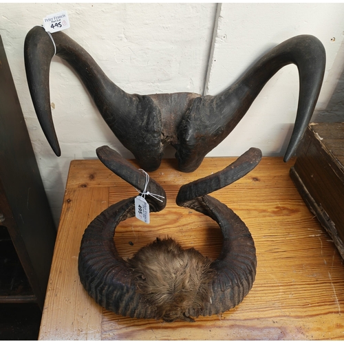 Lot 495       