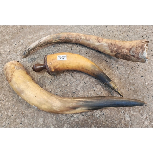 Lot 496       