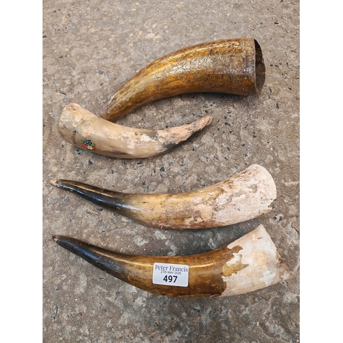 Lot 497       