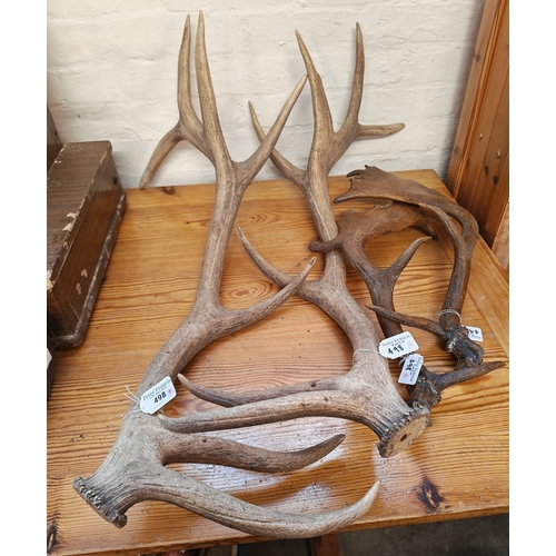 Lot 498       