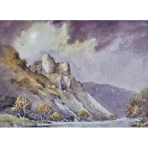 Lot 49        