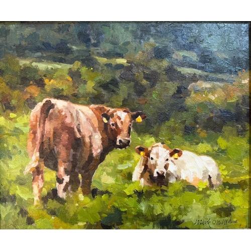 Lot 5         