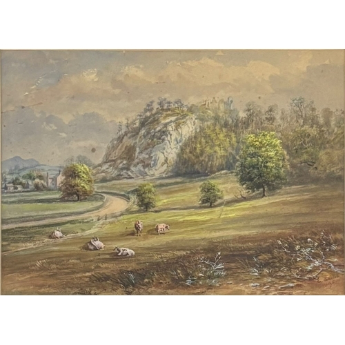 Lot 55        