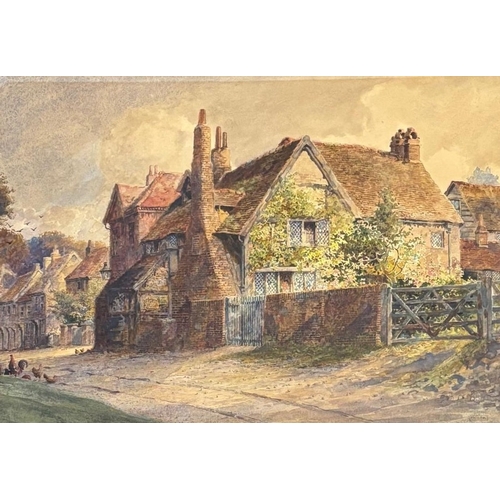 Lot 56        