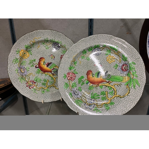 241 - PAIR RARE COPELAND SPODE PARROT PLATES BY THOMAS GOODE