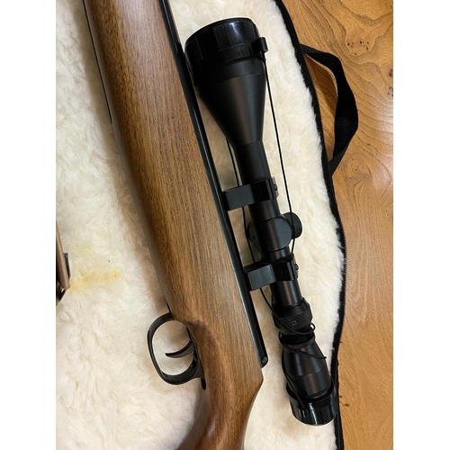 22 - SMK20 2.2 AIR RIFLE WITH PELLETS ETC