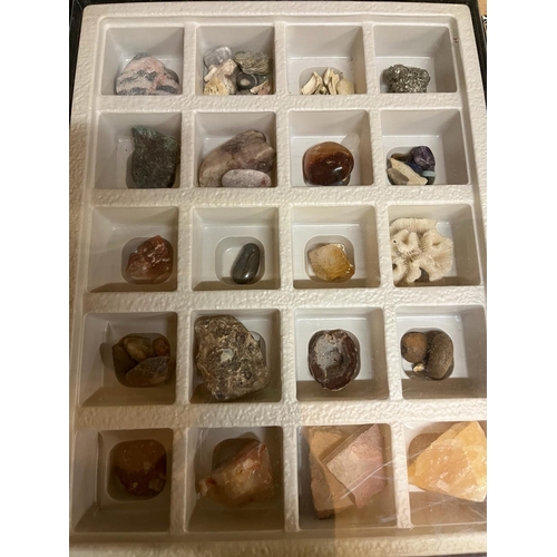 166 - 3 CASES CRYSTALS AND FOSSILS