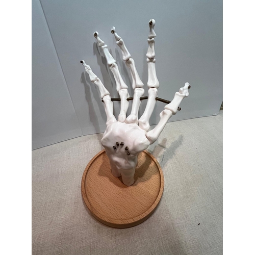 152 - ANATOMICAL REALISTIC HAND JOINT