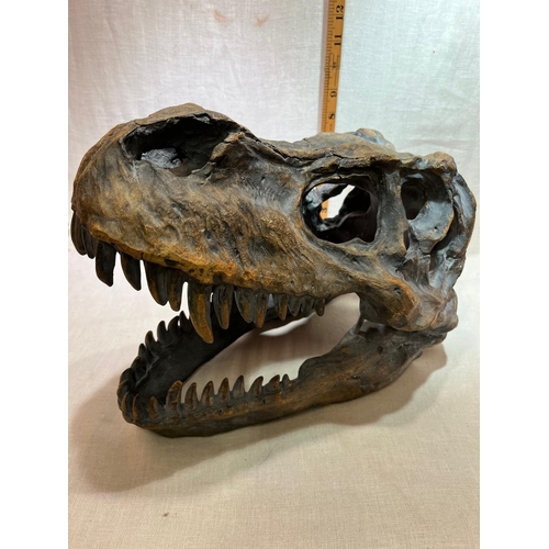 297 - LARGE T-REX HEAD