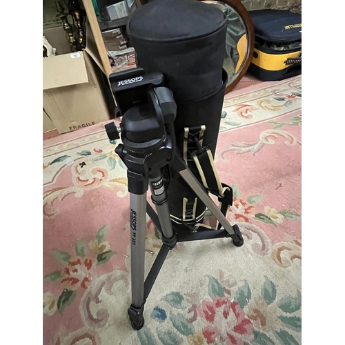 Lot 29        