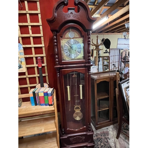 195 - TEMPUS FUGIT GRANDFATHER CLOCK W.O