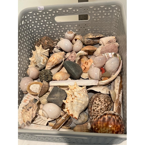 161 - LARGE SELECTION SHELLS AND COLLECTORS ROCKS