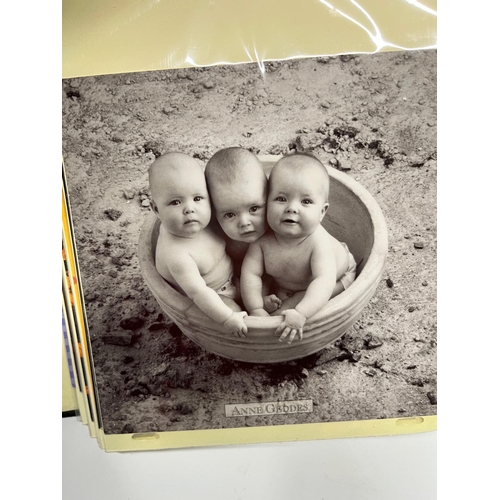 295 - ALBUM ANNE GEDDES CARDS