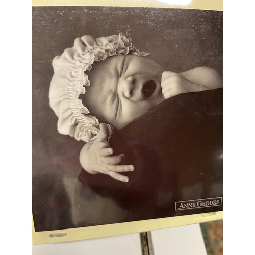 295 - ALBUM ANNE GEDDES CARDS