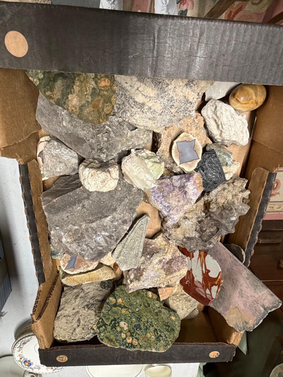 BOX ROCKS OF THE WORLD AND FOSSILS