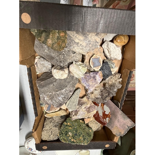 BOX ROCKS OF THE WORLD AND FOSSILS