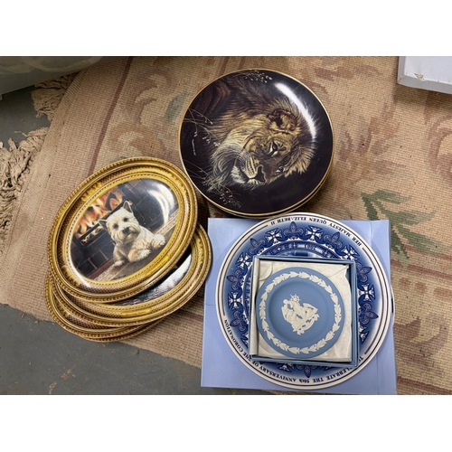 61 - SELECTION COLLECTABLE PLATES