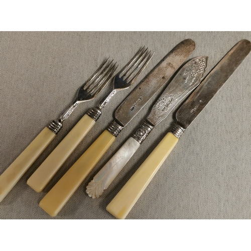 238 - Collection of Bone Handled Silver Collared and Silver Body Knives and Forks