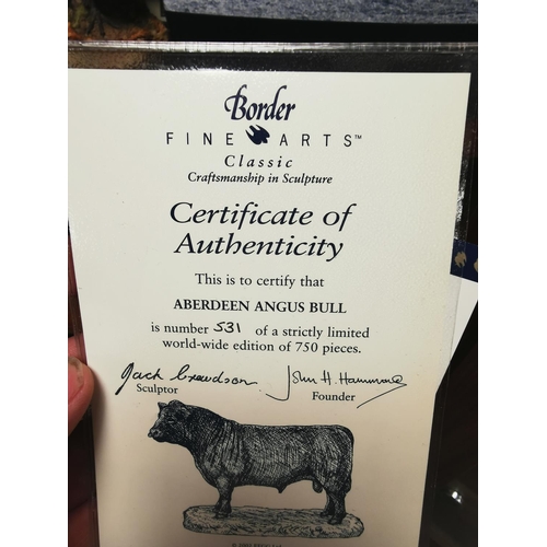 167 - Border Fine Arts - Aberdeen Angus Bull - Limited edition 531/750, Certificate of authenticity, Ht 21... 