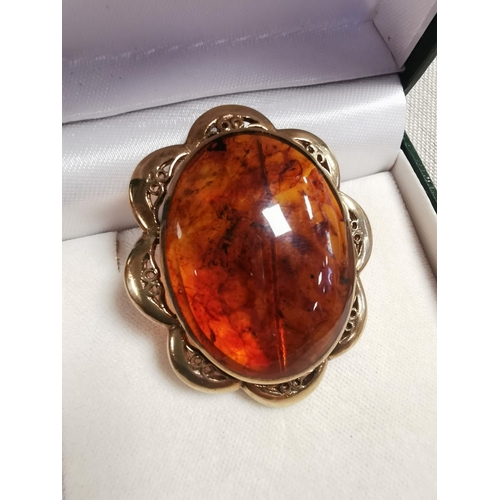 293b - Genuine Amber Brooch within a 9ct Gold Mount - 4.3x3.6cm & 12g