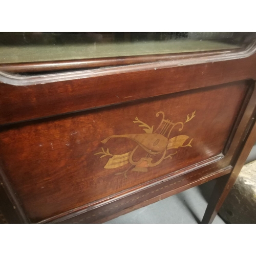 91j - Inlaid Wood Edwardian Display Cabinet