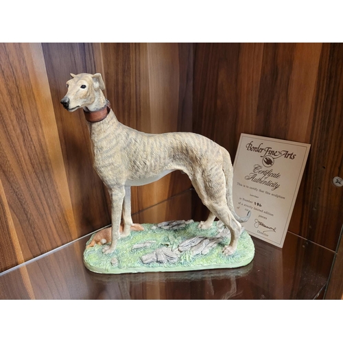 104 - Border Fine Arts - Lurcher by Elizabeth Wall, No 186/250, H26cm, with packaging box & inc inner fitt... 