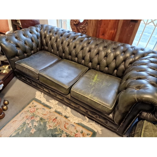 244 - 3pc Green Leather Chesterfield Lounge Sofa Suite inc Wingback Chair