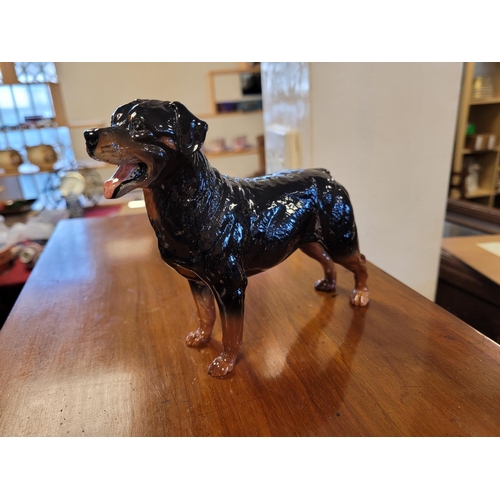 301 - Beswick Rottweiler Dog Figure