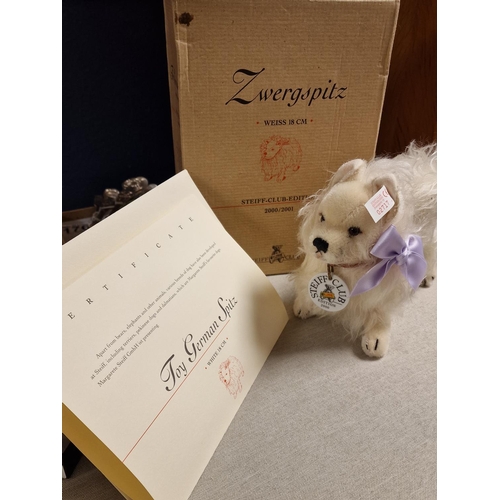 179 - Boxed Zwergspitz Steiff German White Dog Spitz Toy (02717)