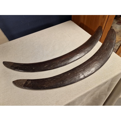 36a - Pair of Early 1930's Australian Boomerangs with carving to one end each - length 25