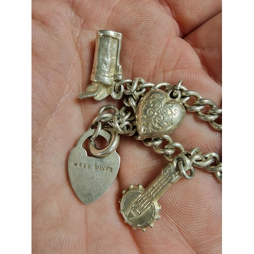 307 - Silver 925 Charm Bracelet - 20.6g