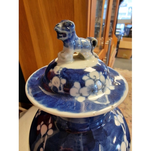 5 - Blue and White Chinese Prunus Floral Lidded Baluster Vase with Foo Dog Finial - H approx 36cm