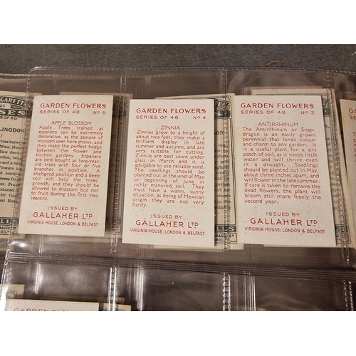 99c - Large Collection of Ogdens, Wills, Gallaher Cigarette Cards