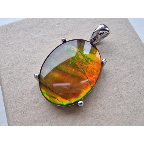 150 - Canadian Ammonite Cabochon Pendant within a 950 Platinum Mount