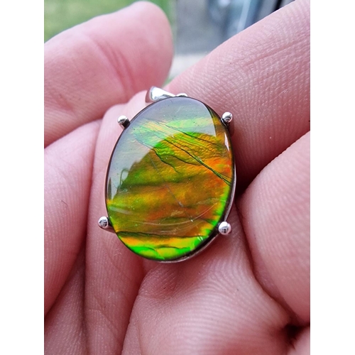 150 - Canadian Ammonite Cabochon Pendant within a 950 Platinum Mount