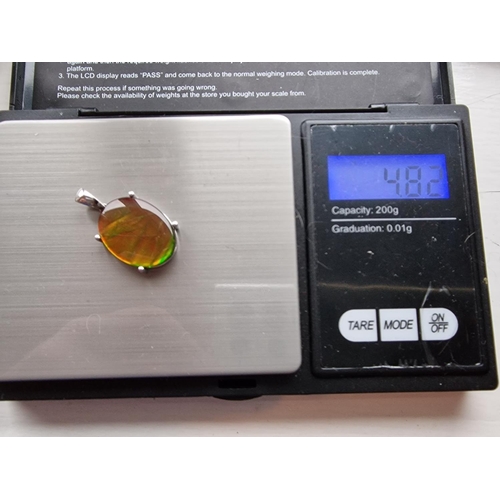 150 - Canadian Ammonite Cabochon Pendant within a 950 Platinum Mount