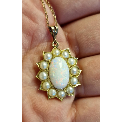 167 - 9ct Gold, Opal and Seed Pearl Necklace - Pendant is 14ct