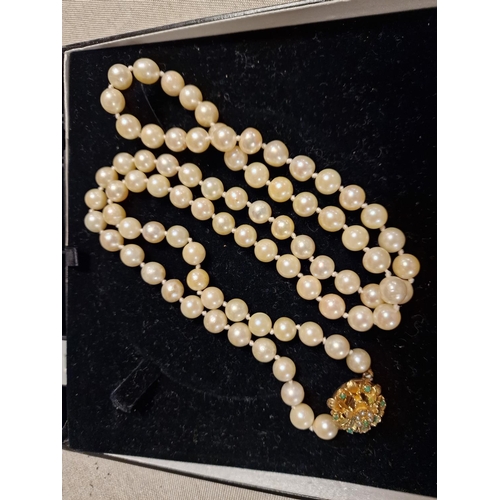 220 - Cased 9ct Gold and Turquoise Clasped Cultured Pearl Necklace