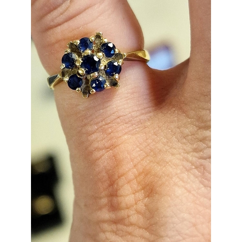 270 - 9ct Gold & Sapphire Cluster Ring, size K and 2.4g