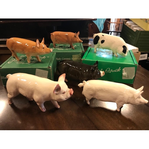 69d - Collection of Six Beswick Pig Figures - Three Boxed