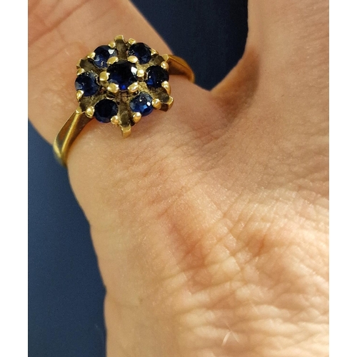 170 - 9ct Gold & Sapphire Cluster Ring, 2.4g and size K