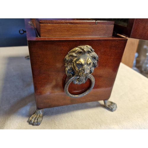 28 - Early Victorian Footed Mahogany Sarcophagus Twin-Box Tea Caddy with Lions' Head Details and Key - 31... 