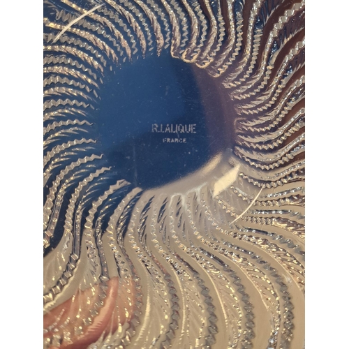 4 - 20th Century French Rene Lalique Opalescent 'Actinia' Glass Plate - diameter 26cm