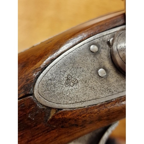 29f - Belgian Antique Flintlock Muzzleloader Rifle Gun w/ a DL Bumble Bee Mark to Barrel - Dresse Laloux