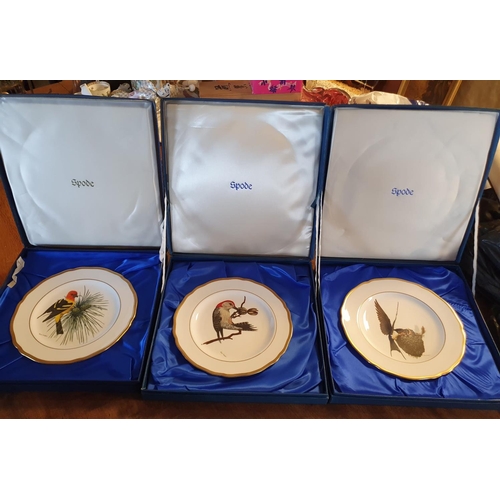 227e - Collection of Nine Boxed Spode Wildlife Bird Plates