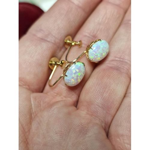 59 - 9ct Gold & Opal Earrings (Screwback)