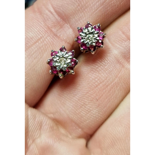 95 - Pair of 9ct Gold, Ruby & Diamond Earrings, Weighs 2.9g approx