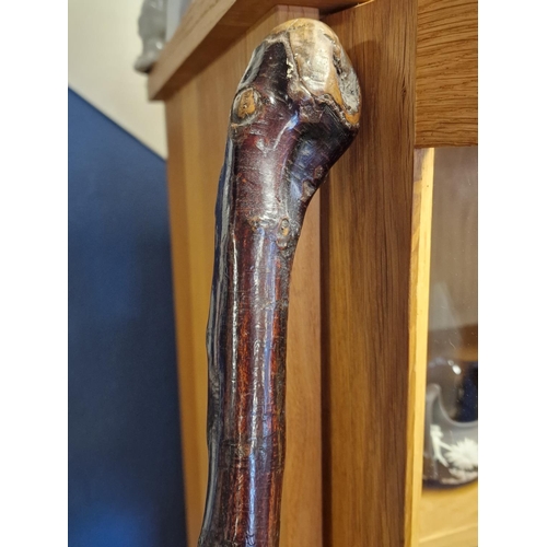 36 - Irish Knobkerrie or Shillelagh Walking Stick - 93cm