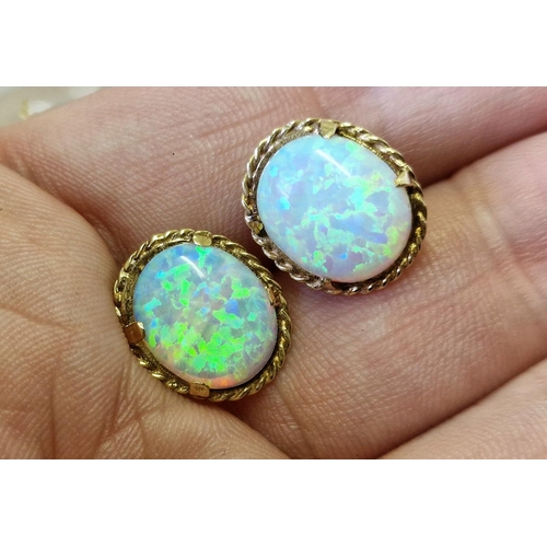 174d - 9ct Gold & Opal Pair of Stud Earrings, 2.9g