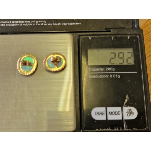 174d - 9ct Gold & Opal Pair of Stud Earrings, 2.9g